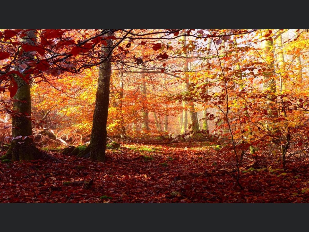 Appartamento Enjoy Durbuy 4 Esterno foto